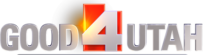 News Logo